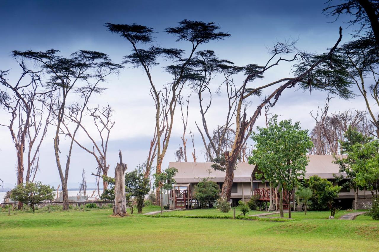 Lake Naivasha Crescent Camp Zewnętrze zdjęcie